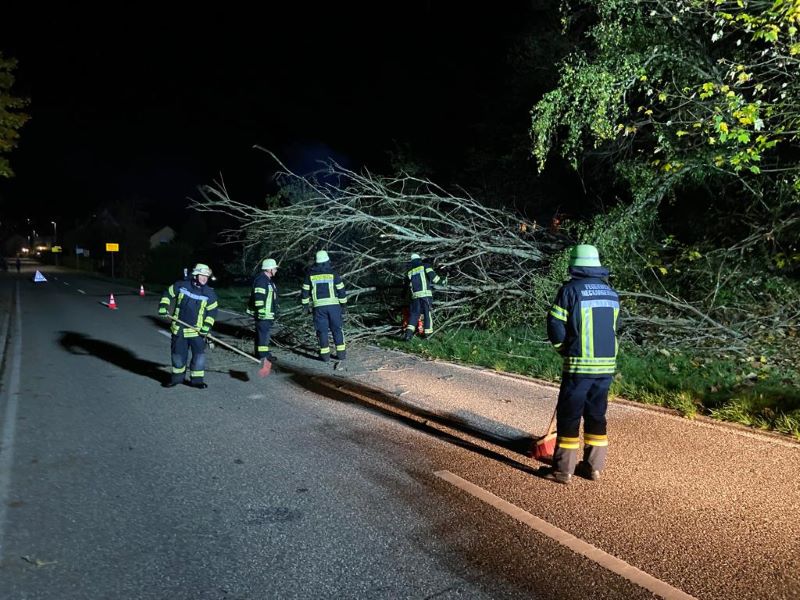 Bild "Einsatzberichte:20221022_Einsatz_Baum_Mue.jpg"