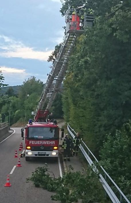 Bild "Einsatzberichte:29092018_Einsatz_Baum.jpg"