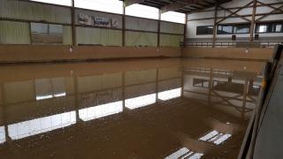 Bild "Einsatzberichte:Reitstall_1.jpg"