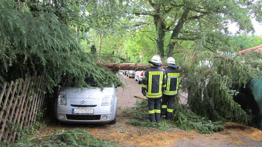 Freiwillig Feuerwehr Dilsberg